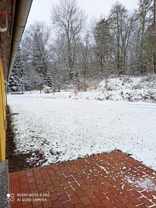 Gemütliches Ferienhaus im Harz direkt am Waldrand Harzgerode Exterior foto